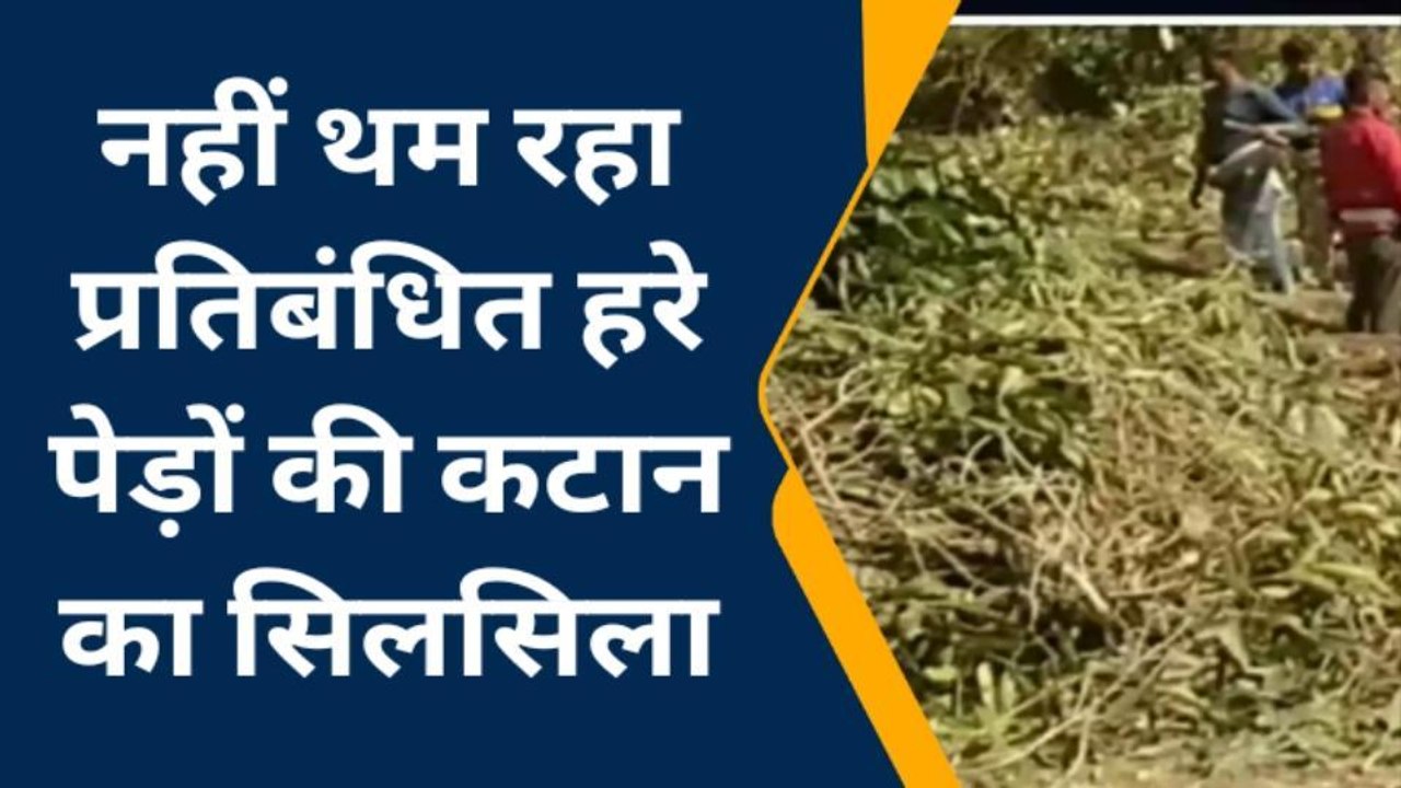 बाराबंकी: हरे भरे प्रतिबंधित पेड़ों पर वन माफिया चला रहे आरा,पर्यावरण को पहुंचा रहे नुकसान