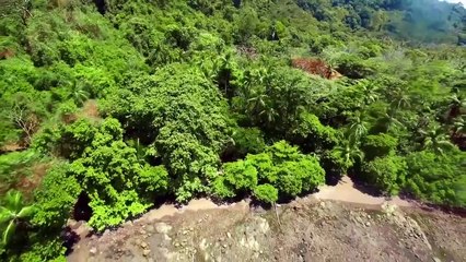 Great Blue Wild - Se2 - Ep08 - Costa Rica HD Watch HD Deutsch