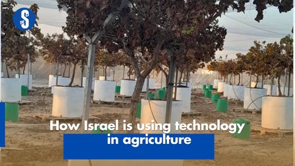Innovative Tech Boosts Agriculture in Arid Southern Israel 🌱