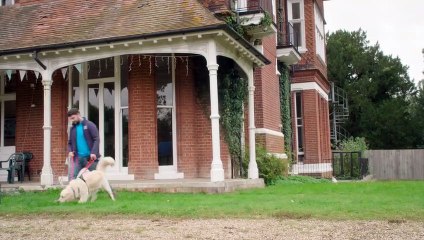 Paul O'Grady For the Love of Dogs S10E08