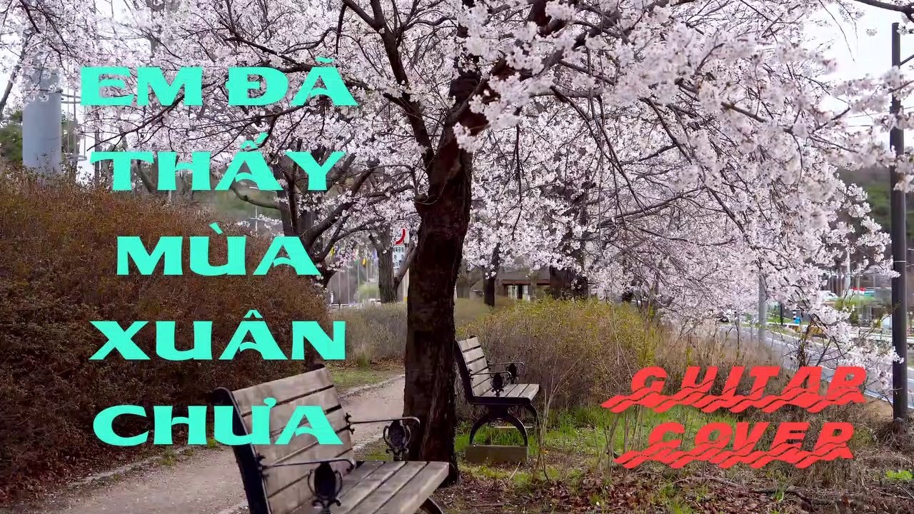 Em Đã Thấy Mùa Xuân Chưa - Guitar Cover | 3N Music