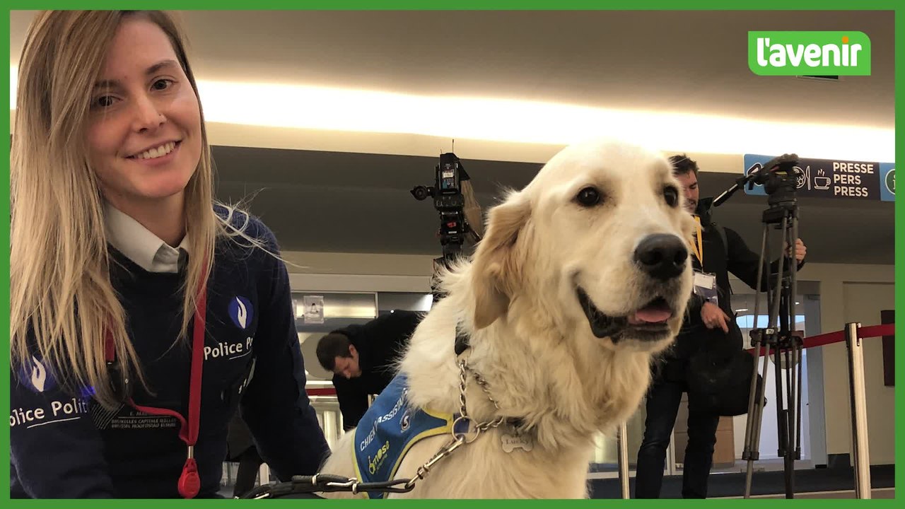 Lucky, le chien anti-stress de la police