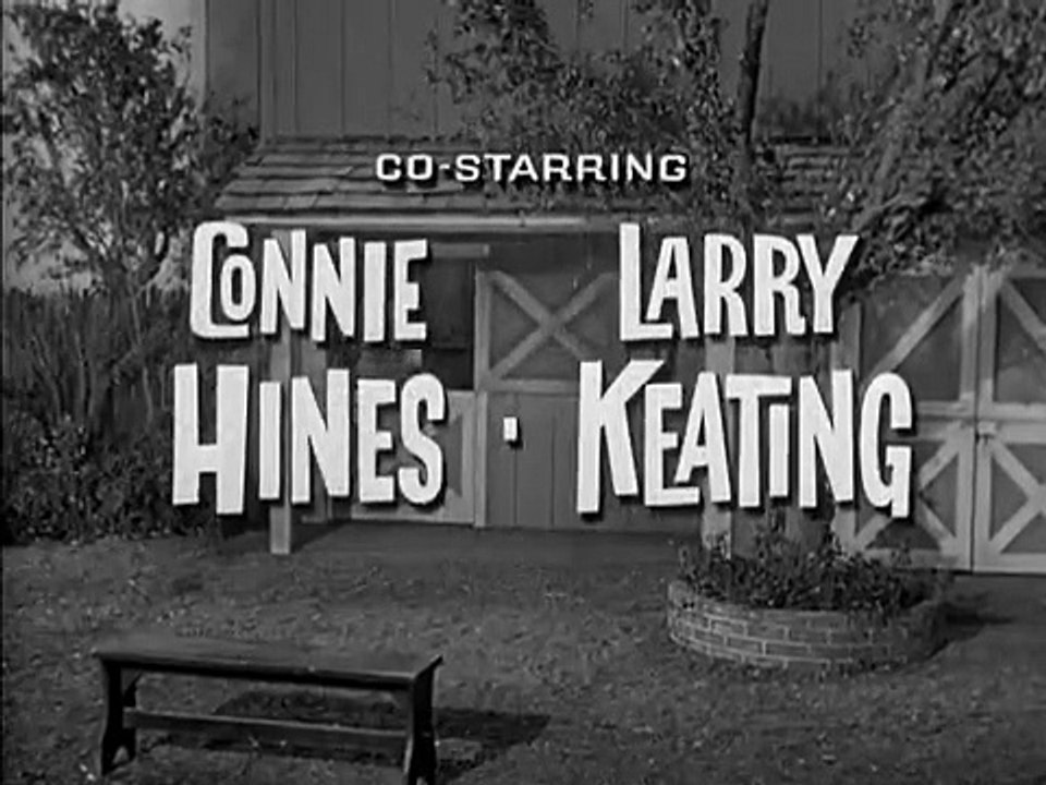 Mister Ed - Se1 - Ep12 HD Watch HD Deutsch