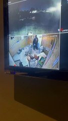 Goat Confronts Husband