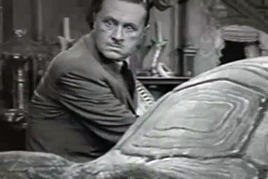 The Addams Family Season 1 Episode 1 The Addams Family Goes To School