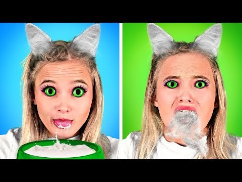 Si ma chérie était un CHAT| Introduire des ANIMAUX à l'école - Situations drôles par La La L'R