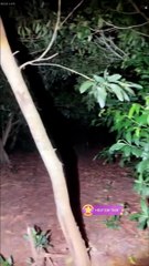 Paranormal activity ghost on camera part 37