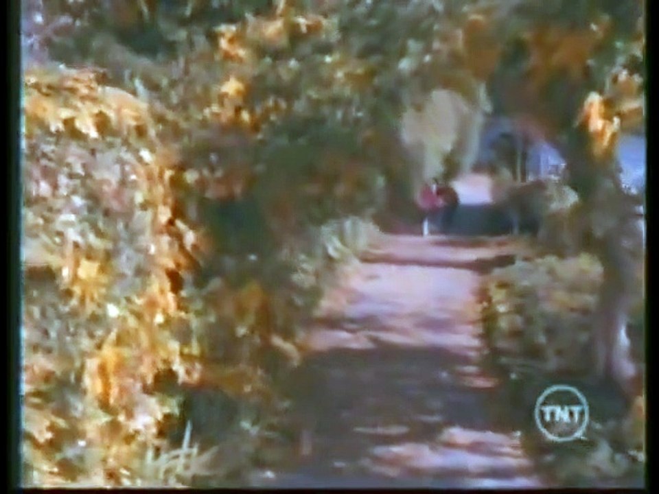 Judging Amy - Se1 - Ep13 HD Watch HD Deutsch