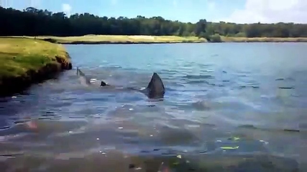 Strange Evidence - Se2 - Ep04 HD Watch HD Deutsch