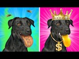 Chien adopté par une famille milliardaire | Animaux riches VS pauvres | Comédie par La La L'r