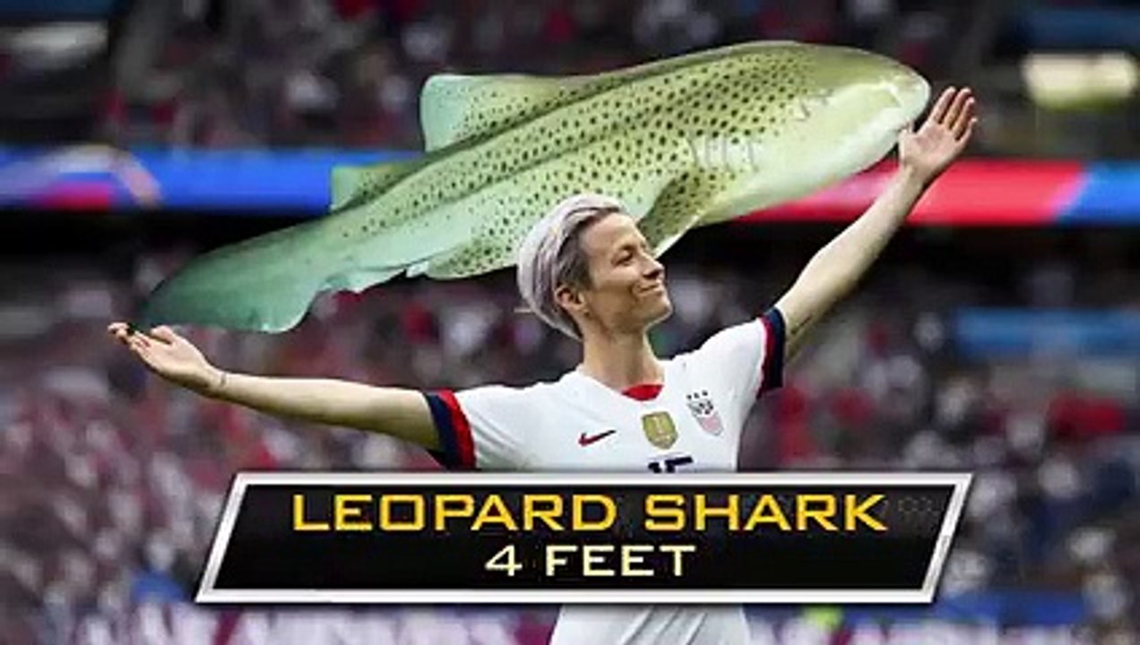 Conan - Se10 - Ep04 - Ilana Glazer HD Watch HD Deutsch