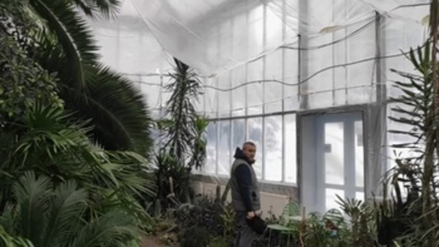 Los parques y jardines botánicos de Ucrania luchan contra los apagones