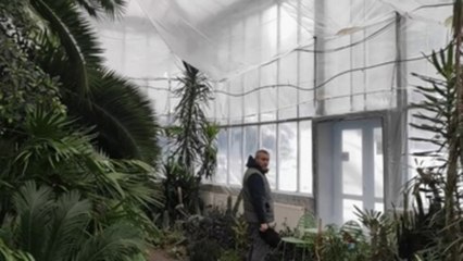 Los parques y jardines botánicos de Ucrania luchan contra los apagones