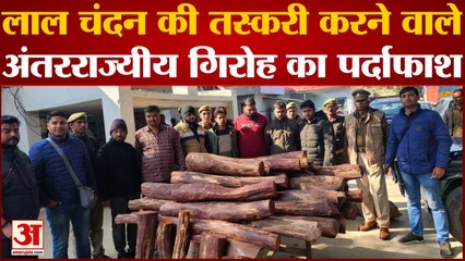 Mathura: लाल चंदन की करते थे तस्करी, 7 तस्कर गिरफ्तार 4 फरार