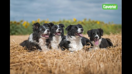 Nathalie Soleil, une photographe de wouf !