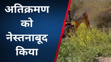 बारां: &#039;पीले सोने&#039; पर चला पीला पंजा,Video देखिए