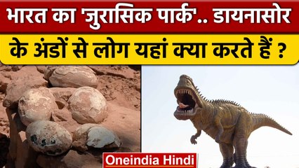 Jurassic Park of India: Dhar जिले में Dinosaur Eggs से लोगों ने क्या किया ? | वनइंडिया हिंदी *News