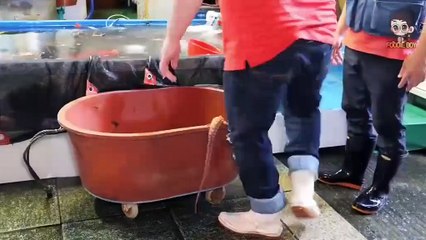 20KG giant octopus cutting process