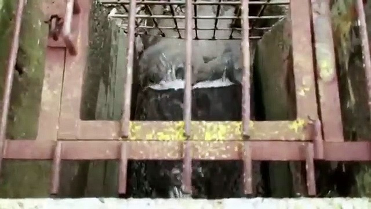 Freak Encounters - Se1 - Ep13 - Jersey Devil HD Watch HD Deutsch