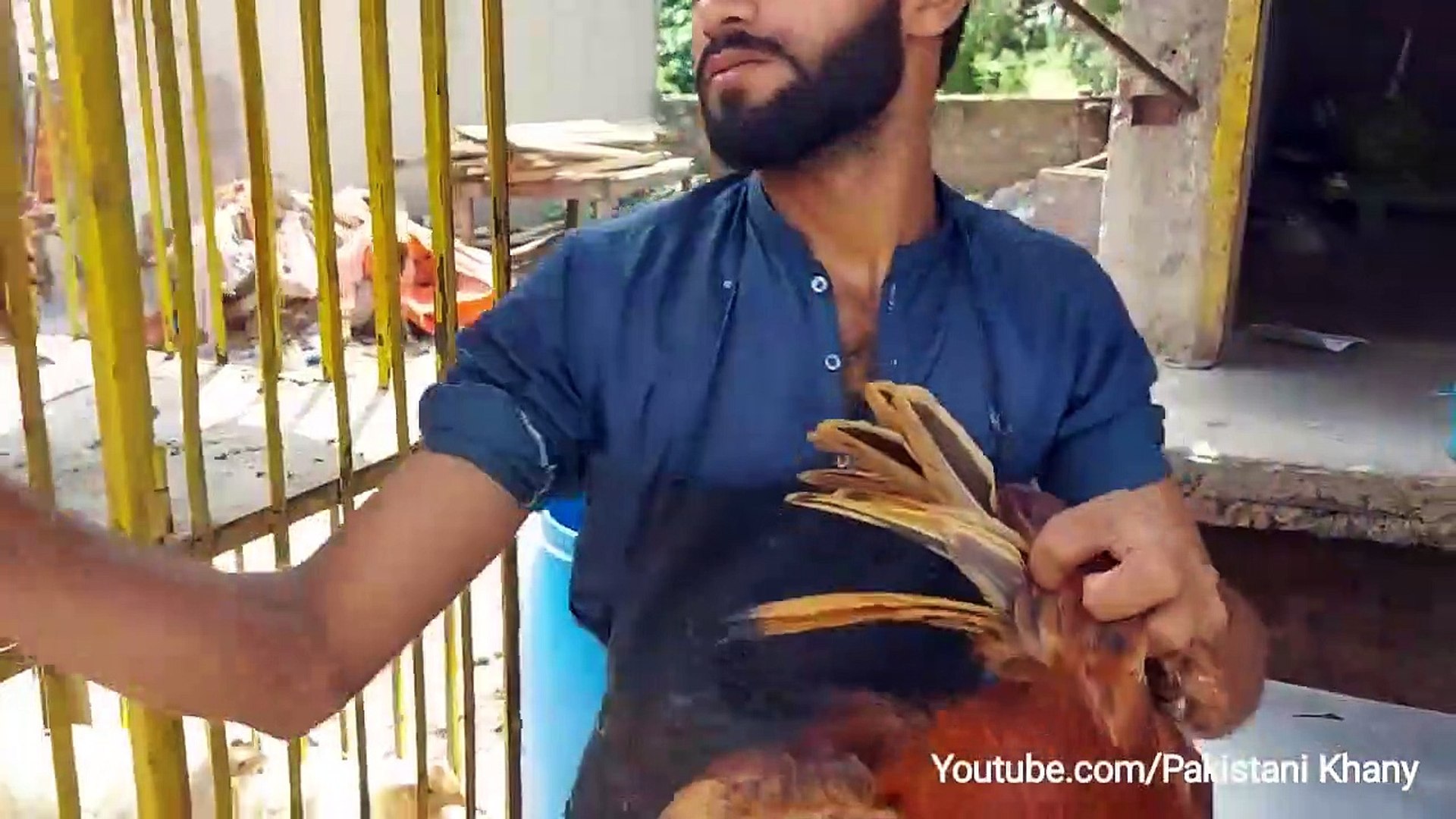 Desi Chicken cutting skills_ Fastest Chicken cutting_ Chicken cutting &  cleaning skills_ - video Dailymotion