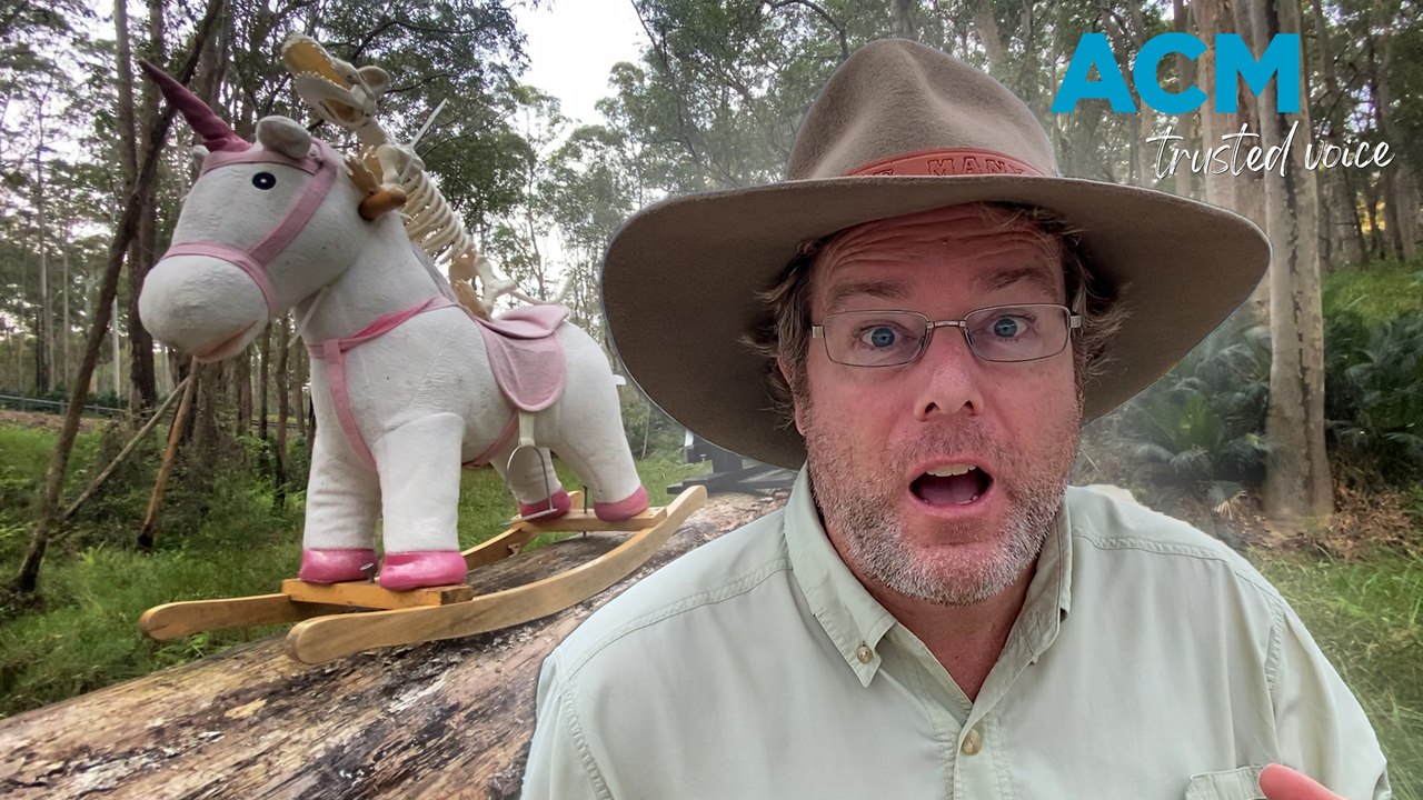 Tim the Yowie Man investigates the mysterious arrival of the Clyde Mountain rocking horses