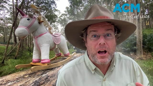 Tim the Yowie Man investigates the mysterious arrival of the Clyde Mountain rocking horses