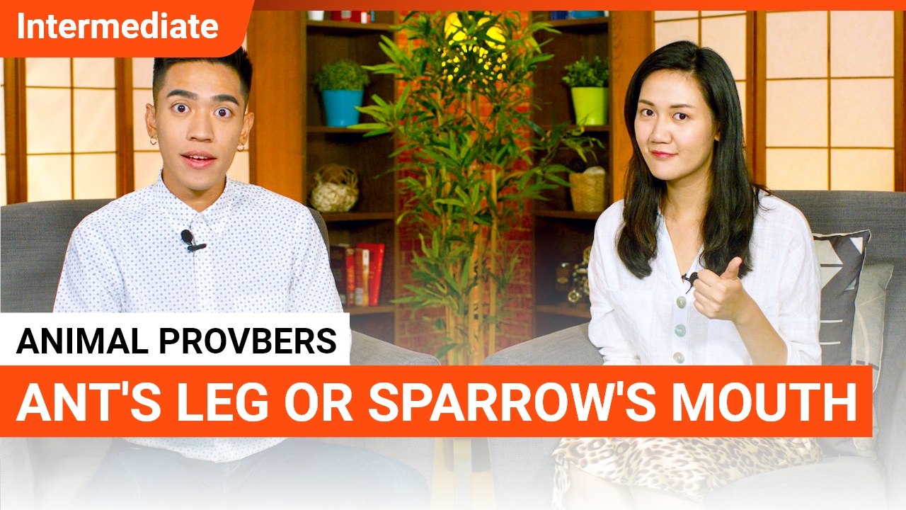 Animal Proverbs: Ant's Leg or Sparrow's Mouth? | Intermediate Lesson (v) | ChinesePod