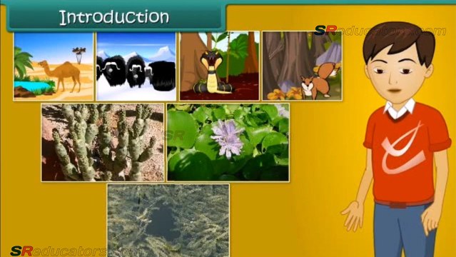 CLASS 6 BIOLOGY CHARACTERISTICS OF LIVING ORGANISMS