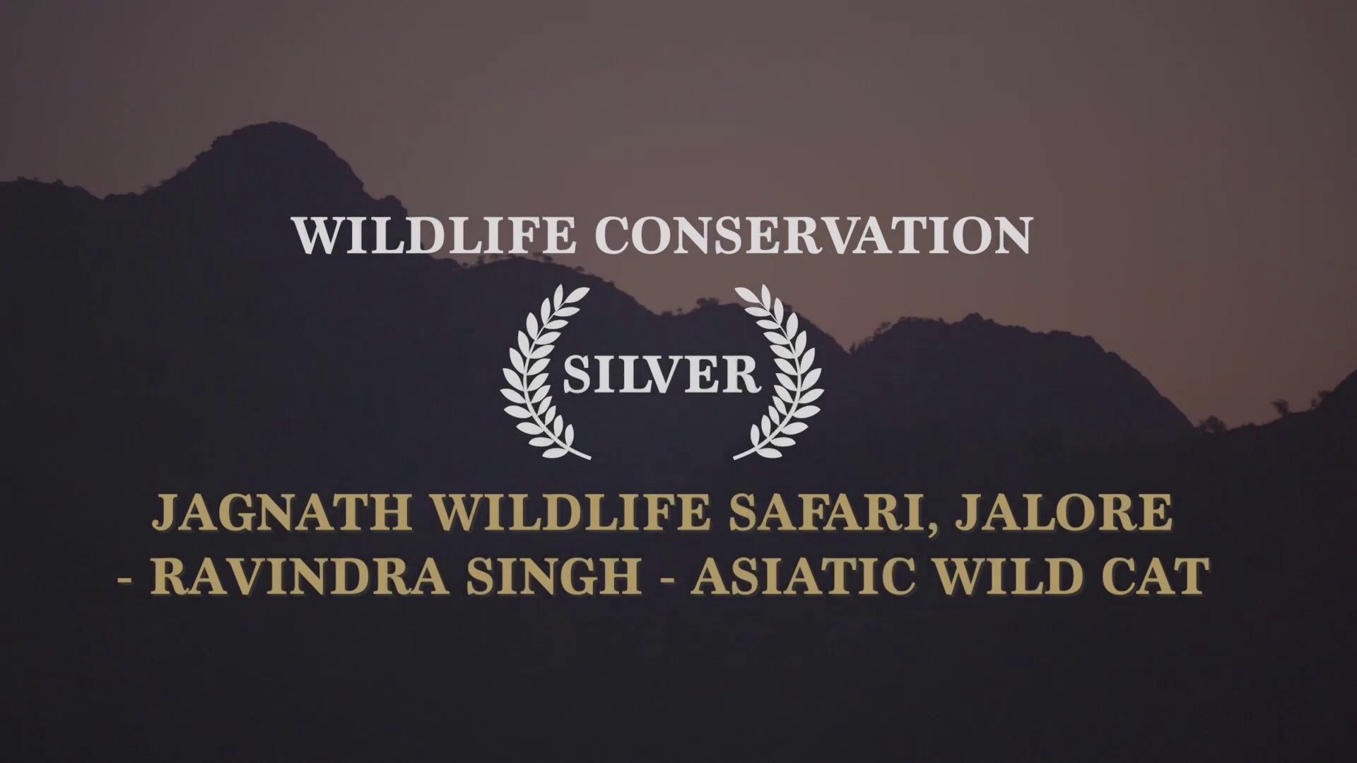 ⁣Wildlife Conservation - Silver | Jagnath Wildlife Safari - Jalore