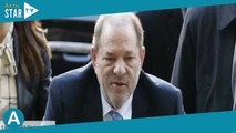 Harvey Weinstein : l’ancien producteur déclaré coupable d’un viol et de deux agressions sexuelles