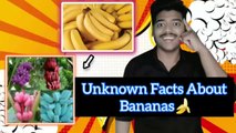 Unknown Facts About Banana || Hindi Facts|| Sudheesh Misterious