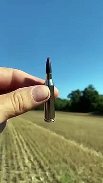 Browning_Blr_243_lever_action_rifle(480p)