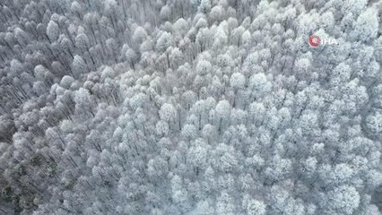 Bursa'da eşsiz kar manzaraları