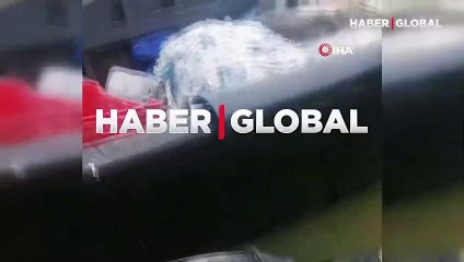 Aç kalan su samuru, balıkçı teknesinde yemek aradı