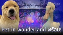 นับถอยหลัง งาน Pet พาเพลิน Fair 2022 คนรักสัตว์ห้ามพลาด Pet in wonderland