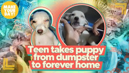 Teen takes puppy from dumpster to forever home | Make Your Day