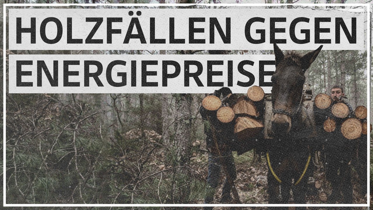 Hohe Energiepreise: Griechen greifen auf Holz zurück