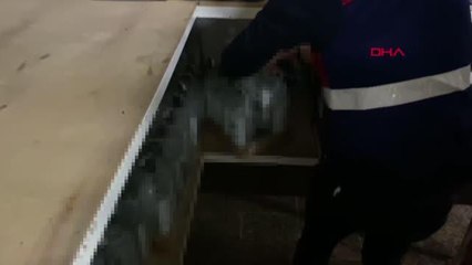 JANDARMADAN YILBAŞI ÖNCESİ KAÇAK İÇKİ OPERASYONU