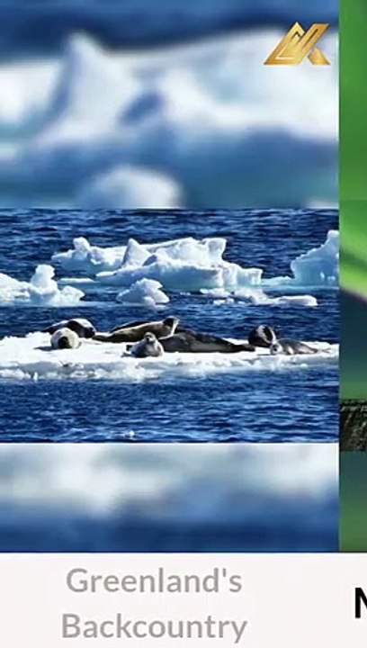 8 of the Best Places for an Arctic Adventure #shorts
