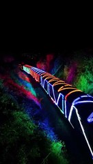 Christmas Train of Lights