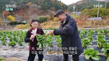 한국기행 - Korea travel_배낭 기행 3부- 맛있는 동네_#001