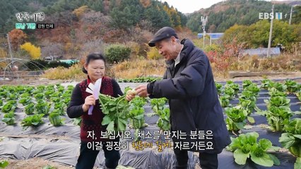 한국기행 - Korea travel_배낭 기행 3부- 맛있는 동네_#001