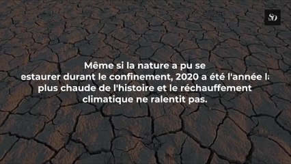 Ces quelques conseils peuvent rendre votre vie plus écologique