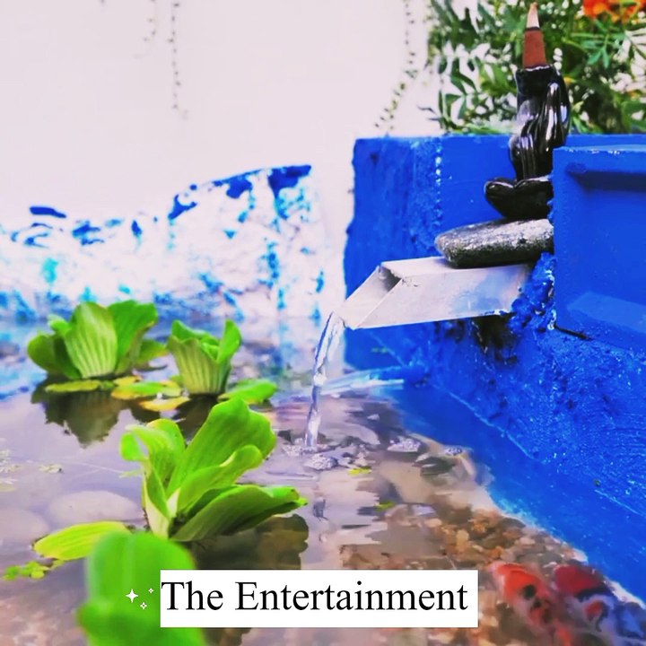 Reuse Your Towels and Create an amazing Backyard || The Entertainment