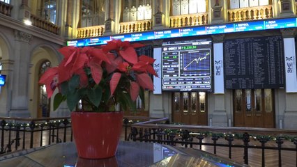 El Ibex 35 continúa con los avances y recupera los 8.200