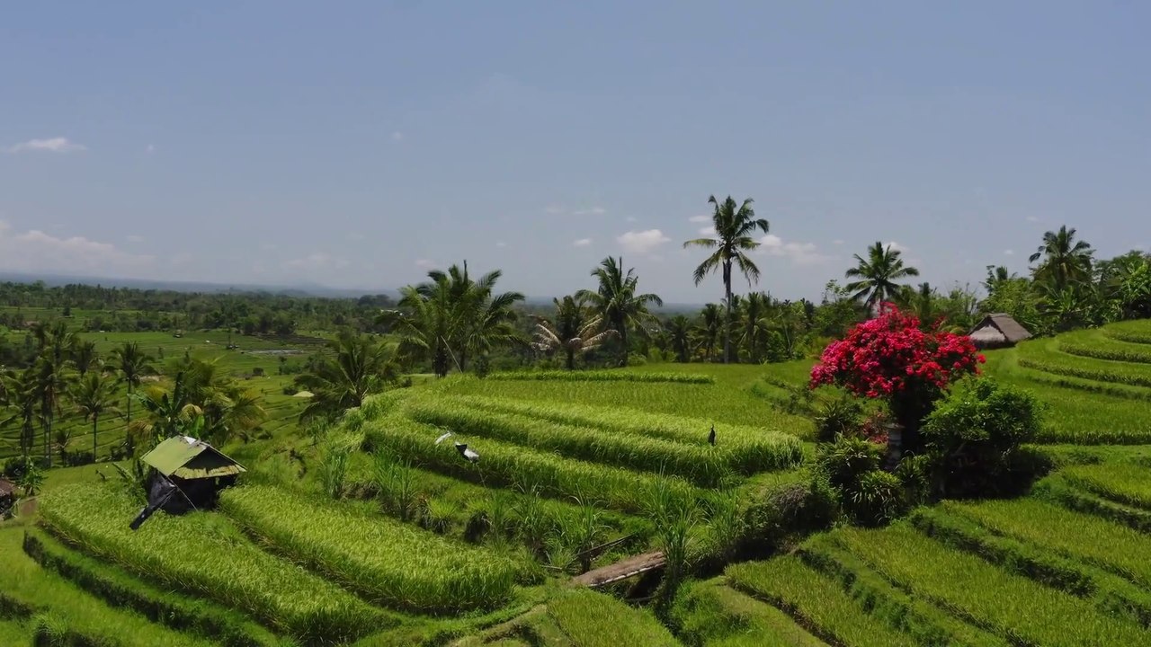 Indonesia Cinematic Travel Video | Indonesia Free Stock Footage | Indonesia Drone No Copyright