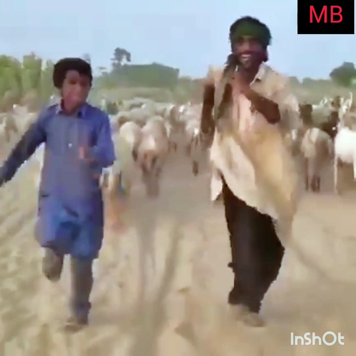Amazing Perform 