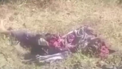 हादसा: ट्रेन से कटकर युवक की दर्दनाक मौत,शरीर के कई टुकड़े हुए