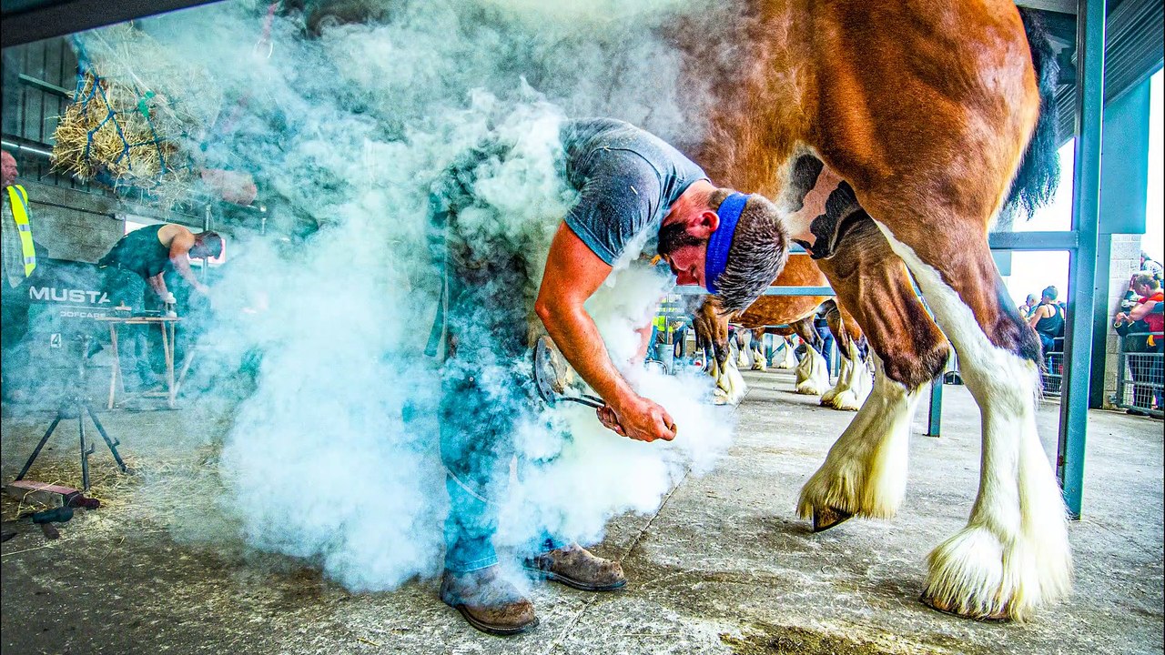 Yorkshire Post Year Review photos July to September 2022 from the Great Yorkshire Show to Whitby Regatta and the Bronte book