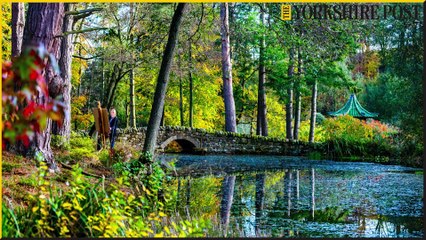 Yorkshire Post Year Review photos October to December 2022 from Whitby Krampus run and Stockeld Christmas Trees to The Prince and Princess of Wales visiting Scarborough